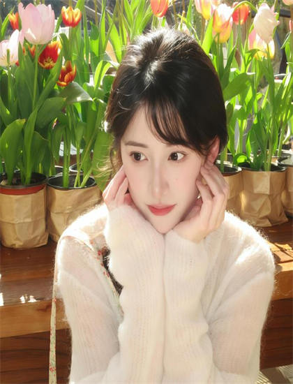 逆转裁判?对这个“真实”，有异议！? 第二季观影宝典：欣赏艺术表现与美学价值 丰富文化知识的实用方法